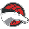 Leicester Riders