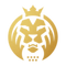 MAD Lions academy