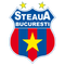 Steaua Bükreş